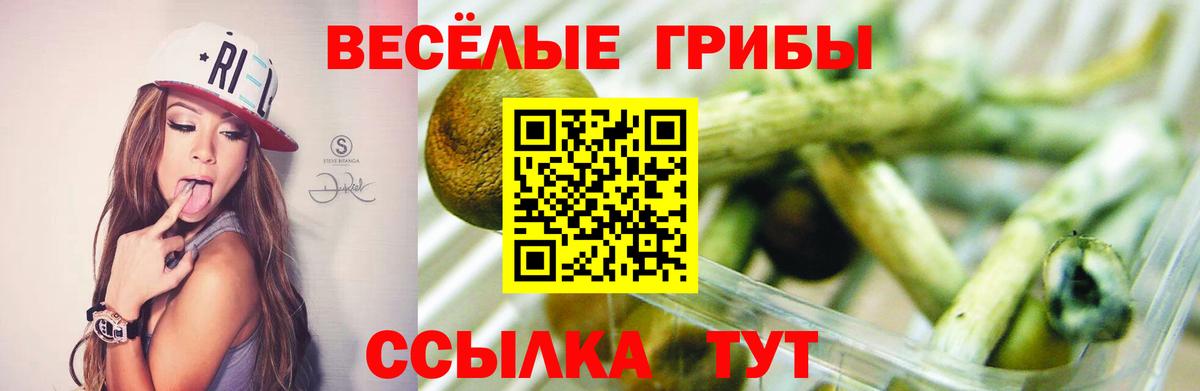 Грозный  Галлюциногенные грибы Psilocybe  Псилоцибиновые грибы ЛСД  Вход с VPN 